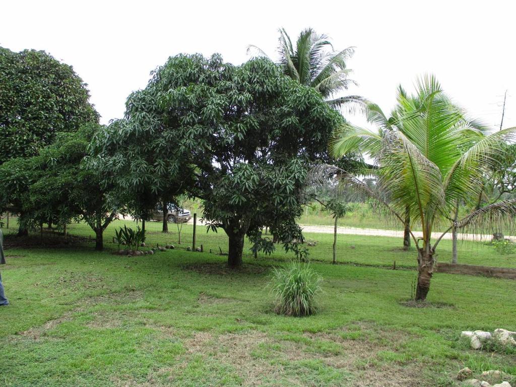 listing image with ID 70336