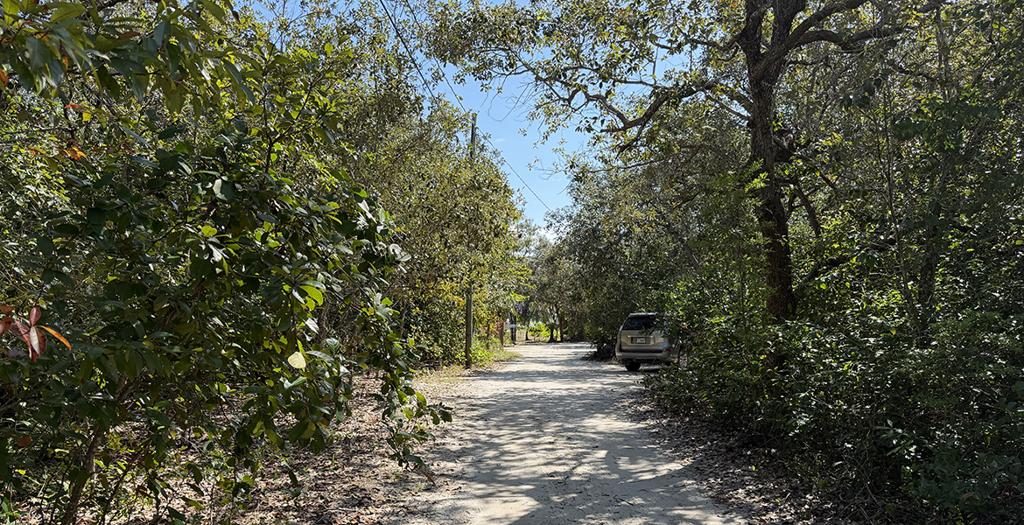 listing image with ID 70936