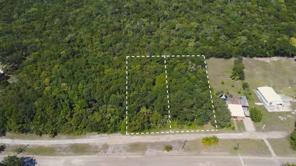 listing image with ID 70383