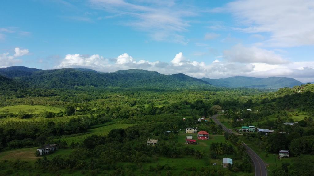 listing image with ID 69957