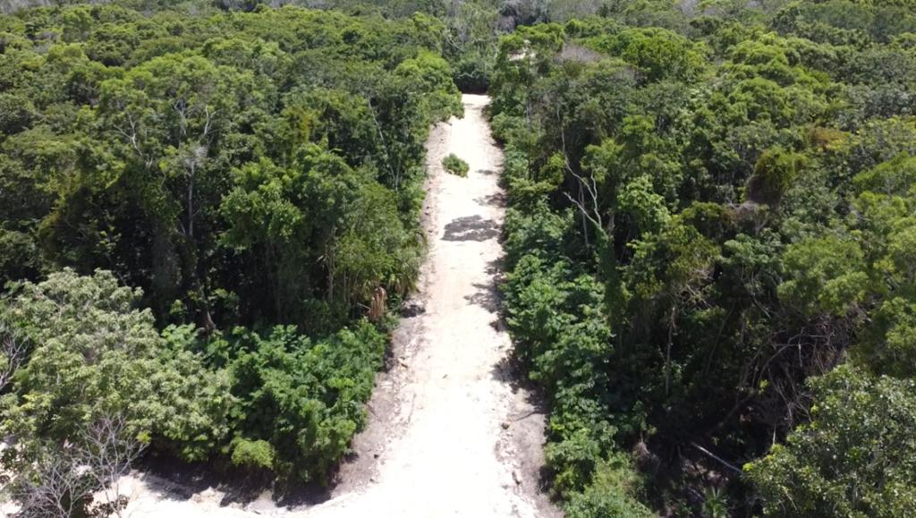 listing image with ID 69752