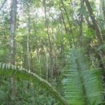 listing image thumbnail with ID 70214