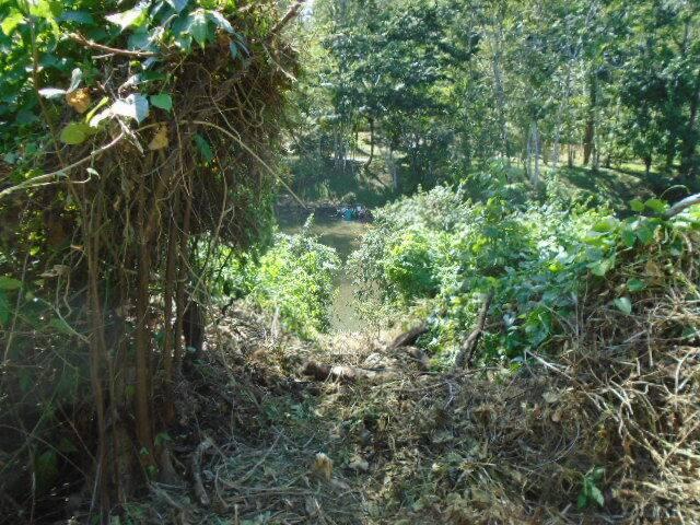 listing image with ID 70145