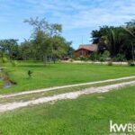 listing image thumbnail with ID 70664