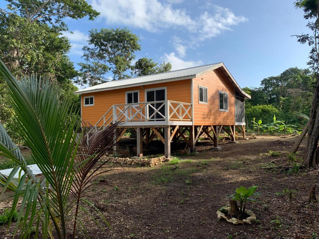 listing image with ID 70768