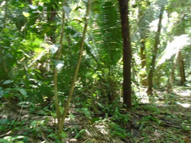 listing image with ID 70102