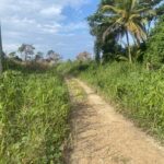 listing image thumbnail with ID 70920