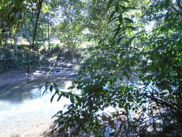 listing image with ID 70142