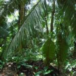 listing image thumbnail with ID 70103