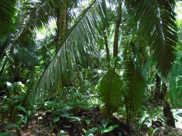 listing image with ID 70103