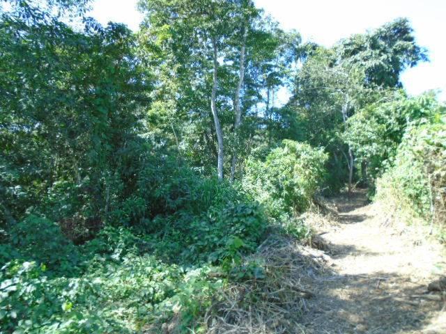 listing image with ID 70149