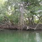 listing image thumbnail with ID 70054