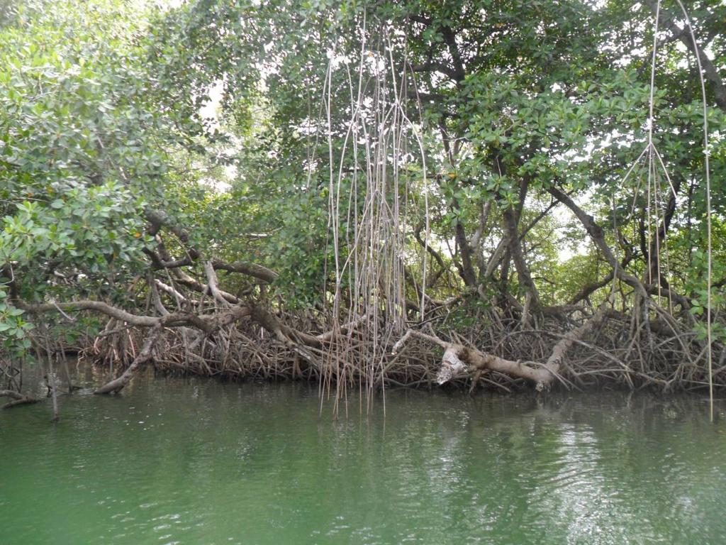 listing image with ID 70054