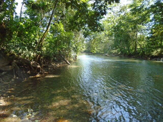 listing image with ID 70154