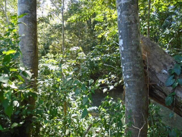 listing image with ID 70161