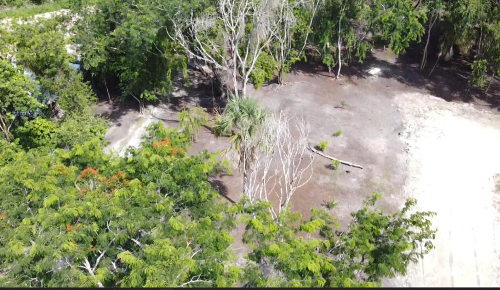 listing image with ID 69767