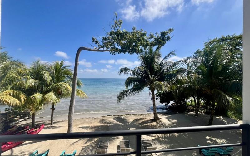 listing image with ID 69562