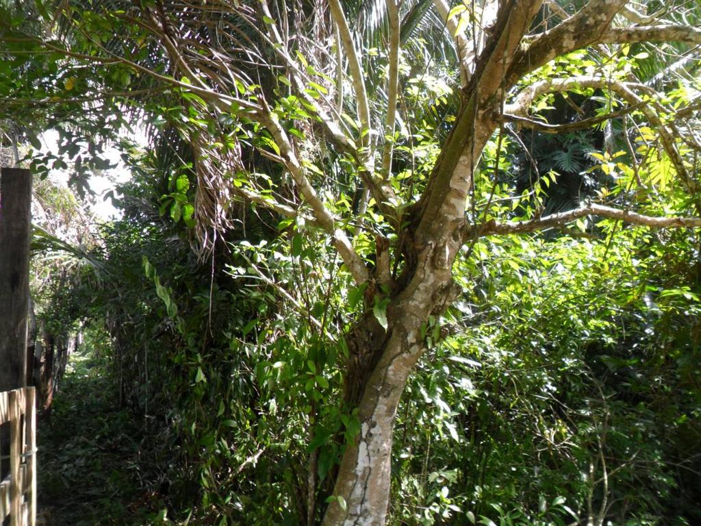 listing image with ID 70131