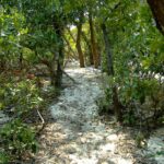 listing image thumbnail with ID 71224