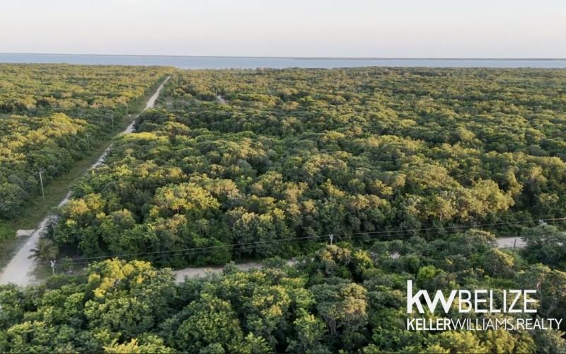 listing image with ID 71591