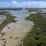 listing image thumbnail with ID 72178