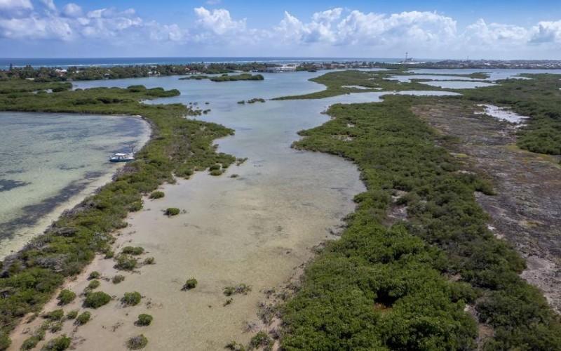 listing image with ID 72178