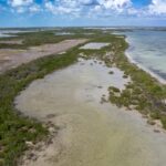 listing image thumbnail with ID 72176