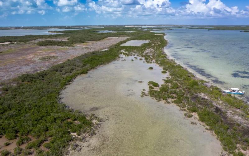 listing image with ID 72176