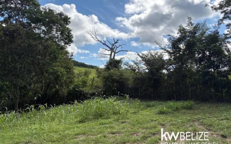 listing image with ID 71719