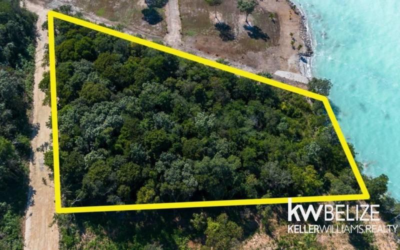 listing image with ID 71602