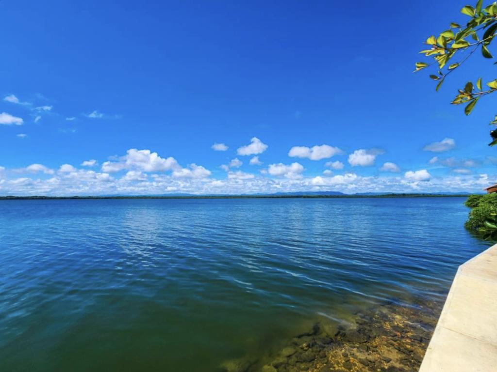 listing image with ID 71482