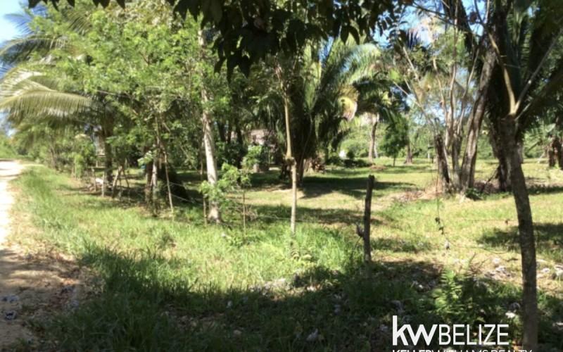 listing image with ID 71630