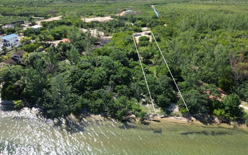 listing image with ID 71250