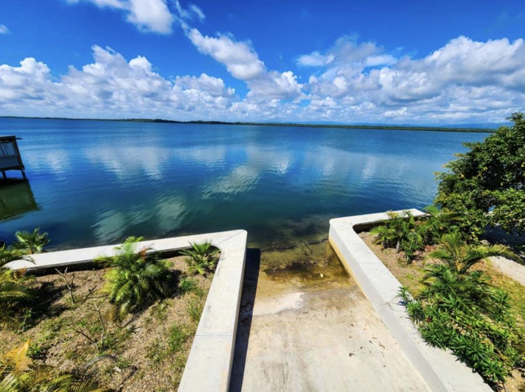 listing image with ID 71445