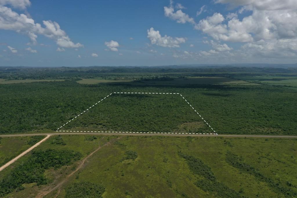 listing image with ID 71155