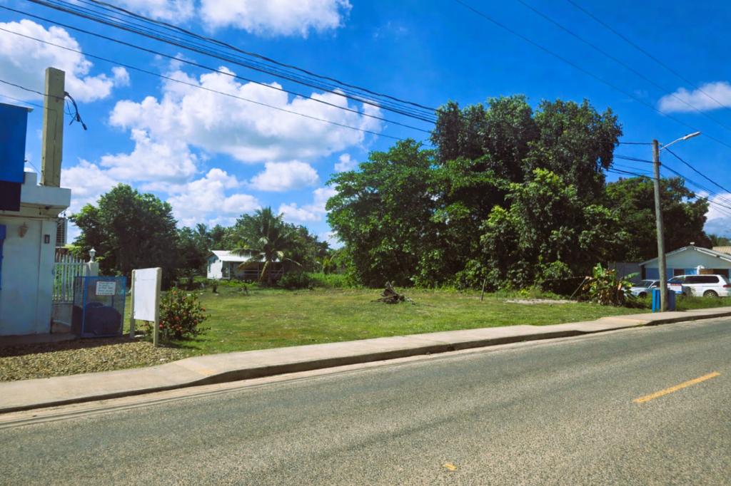 listing image with ID 71295