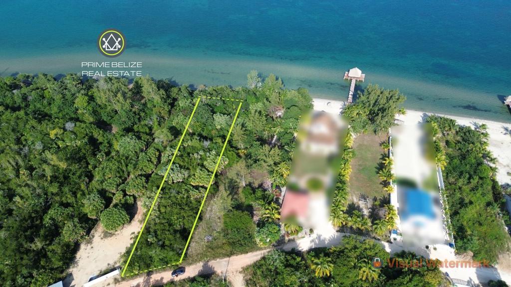 listing image with ID 71233