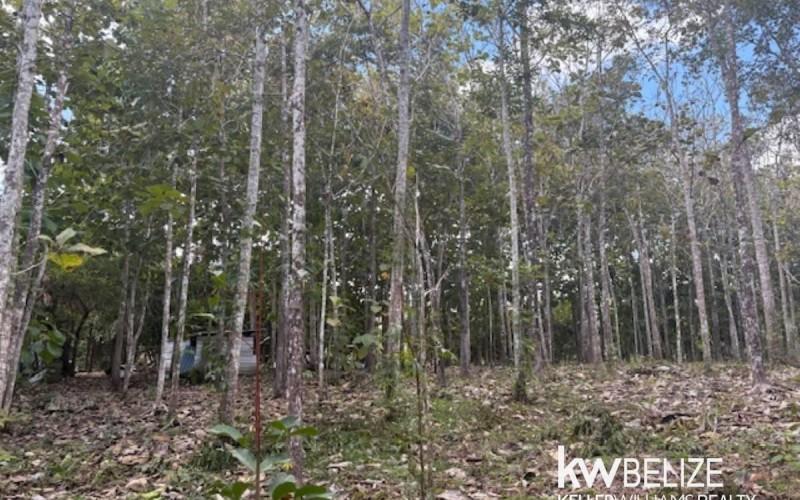 listing image with ID 71786