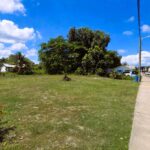 listing image thumbnail with ID 71294