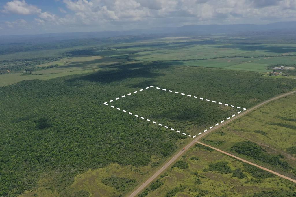 listing image with ID 71159