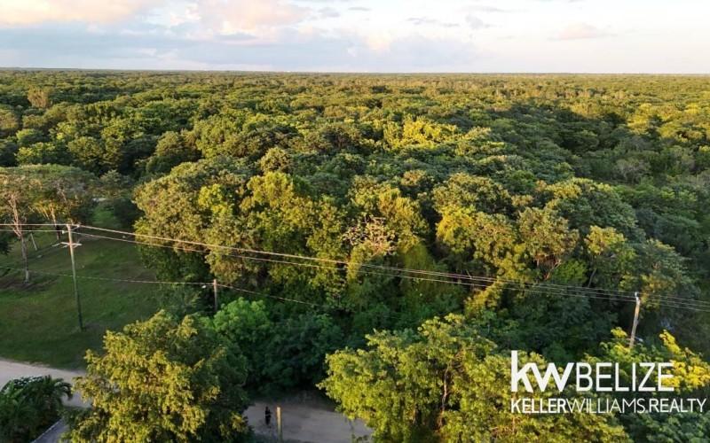 listing image with ID 71592