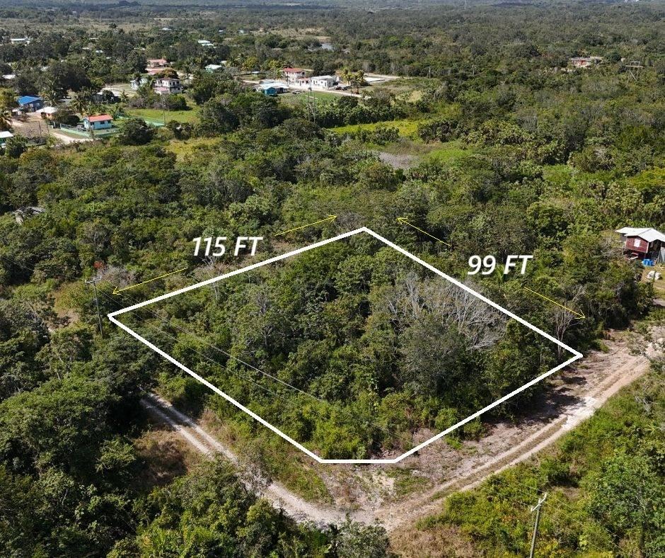 listing image with ID 71257