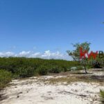 listing image thumbnail with ID 72300