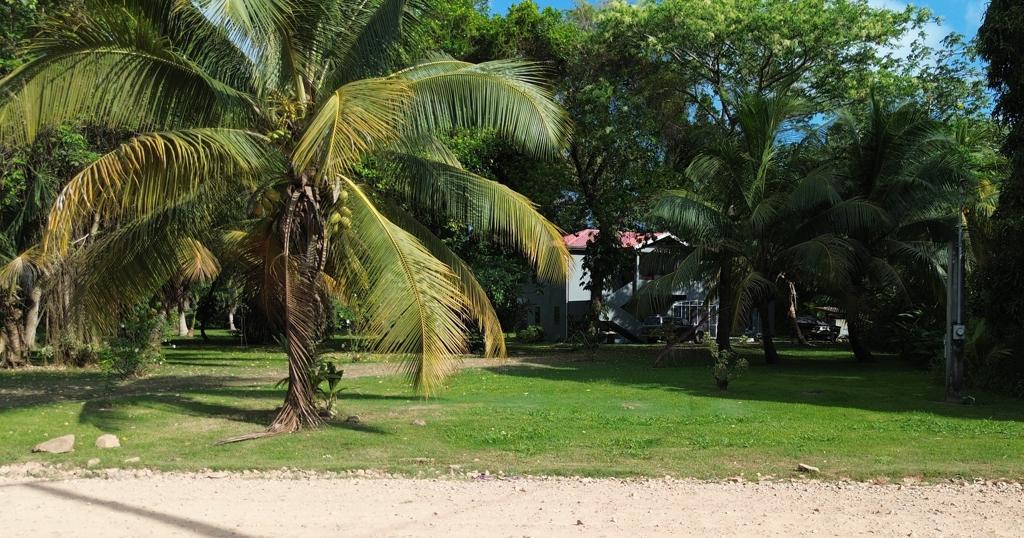 listing image with ID 72662