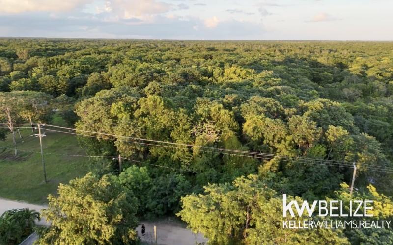 listing image with ID 71593