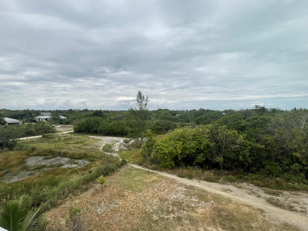 listing image with ID 71220