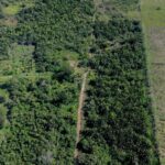 listing image thumbnail with ID 72735