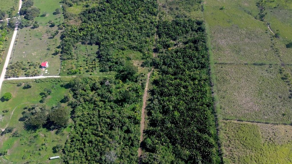 listing image with ID 72735