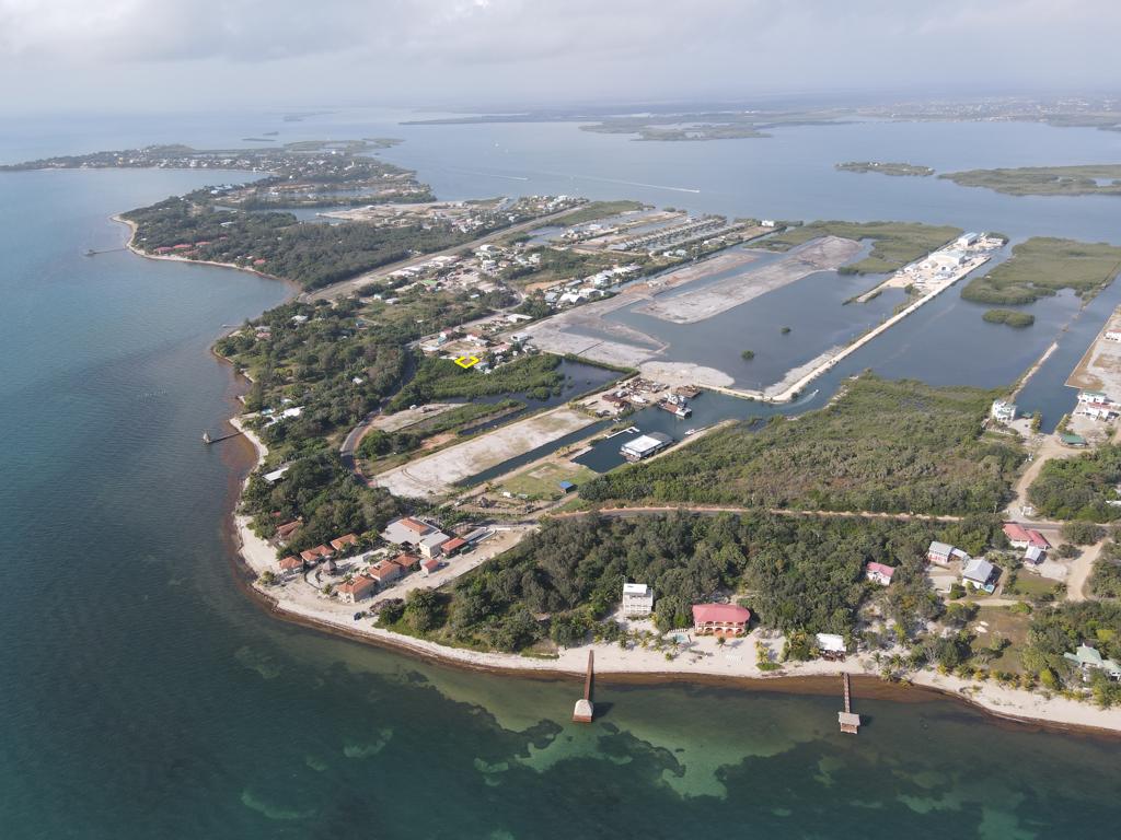 listing image with ID 71987