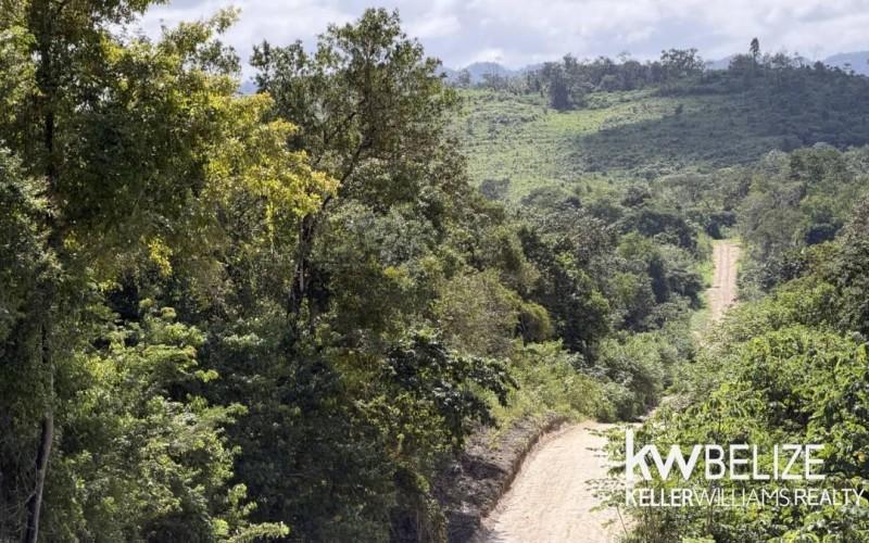 listing image with ID 71638